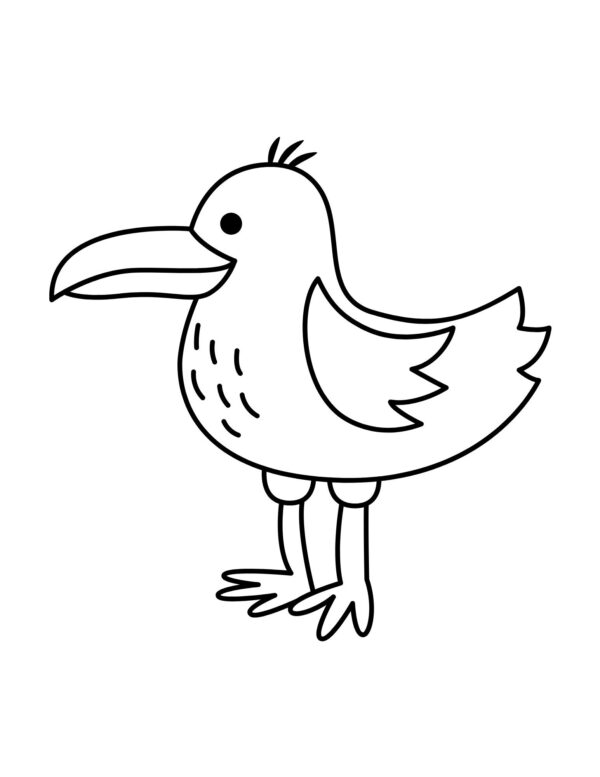 Birds Coloring Pages