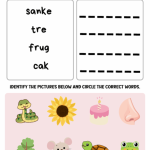 Spelling Activity